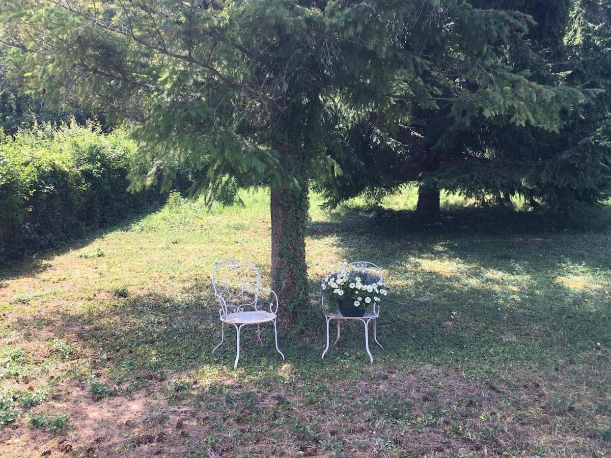 Atelier Des Reves Daire Vichy Dış mekan fotoğraf